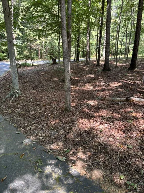 674 Clarke Trail Dacula, GA 30019