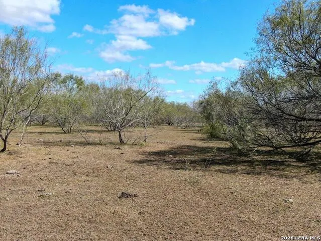 812 County Road 415 Stockdale, TX 78160