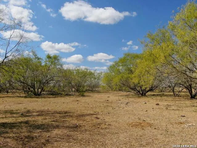 812 County Road 415 Stockdale, TX 78160