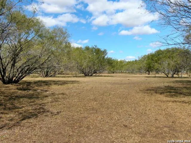 812 County Road 415 Stockdale, TX 78160
