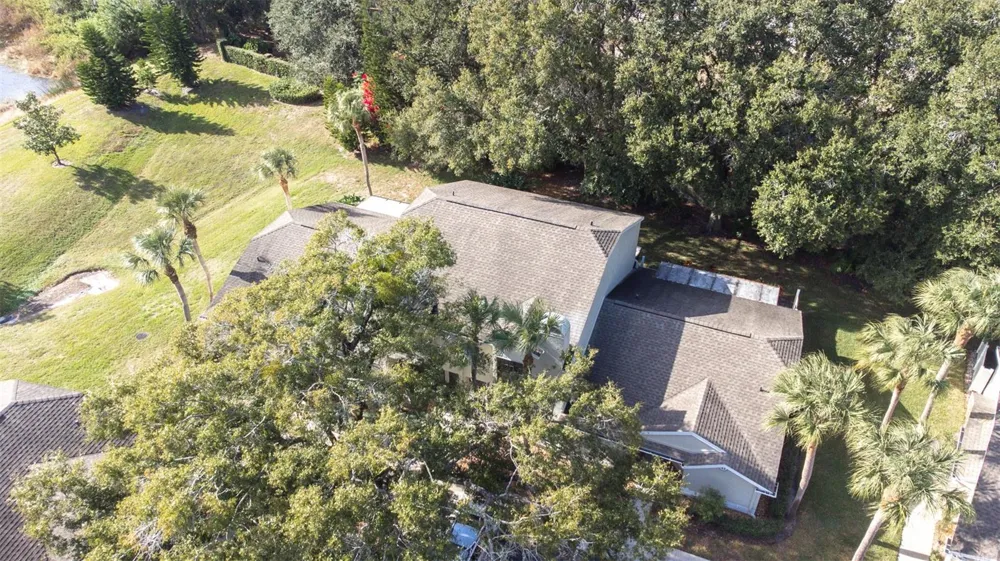 5100 BURCHETTE ROAD #4102 Tampa, FL 33647