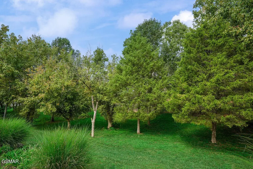 1202 Foxwood Drive Sevierville, TN 37862