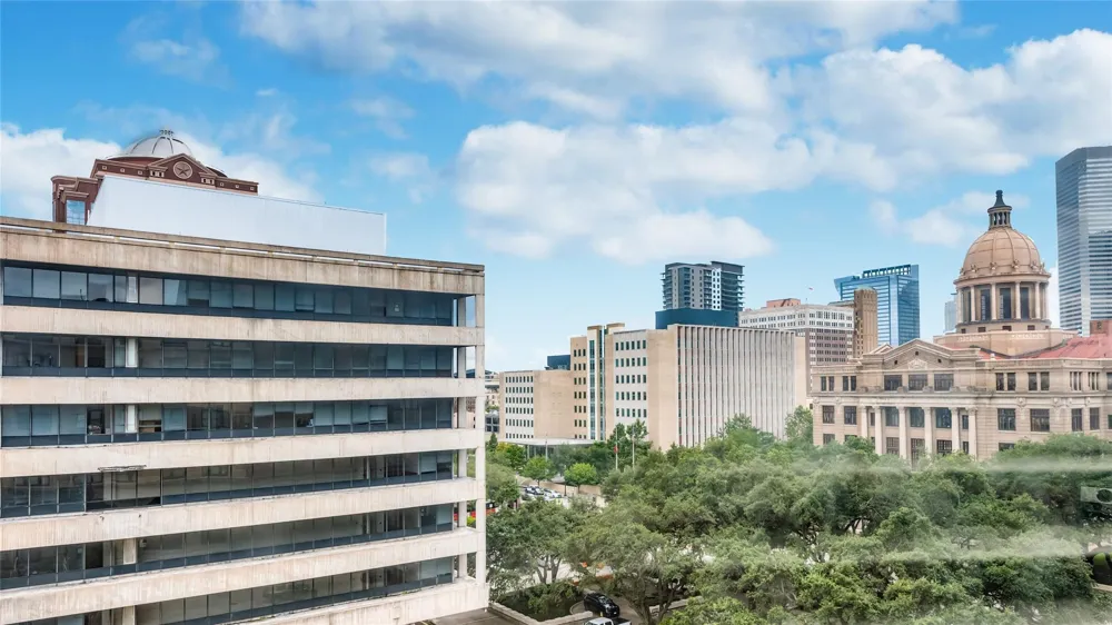 201 Main Street #6G Houston, TX 77002