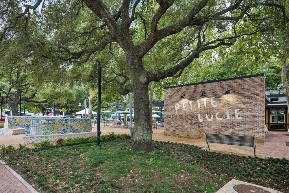201 Main Street #6G Houston, TX 77002
