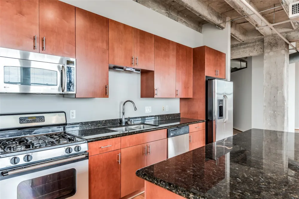 201 Main Street #6G Houston, TX 77002