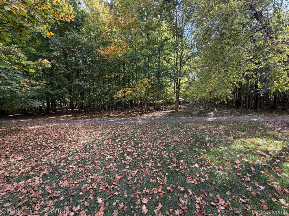 16040 Morningside Northville City, MI 48168
