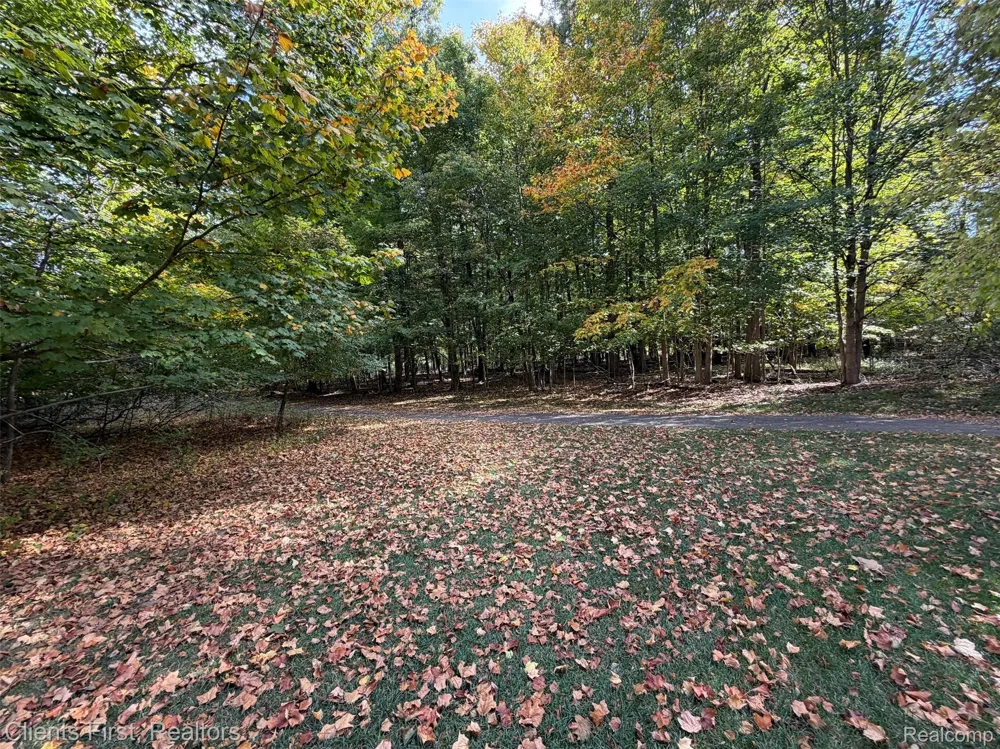 16040 Morningside Northville City, MI 48168