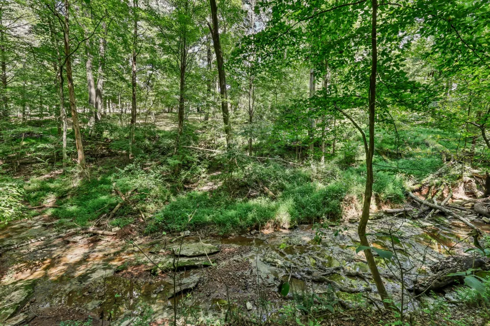 224 Norma Ct Clarksville, TN 37043