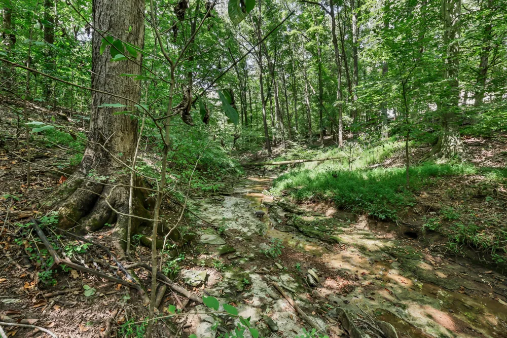 224 Norma Ct Clarksville, TN 37043