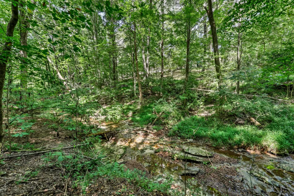 224 Norma Ct Clarksville, TN 37043