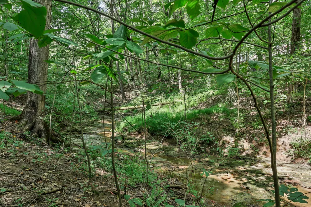 224 Norma Ct Clarksville, TN 37043