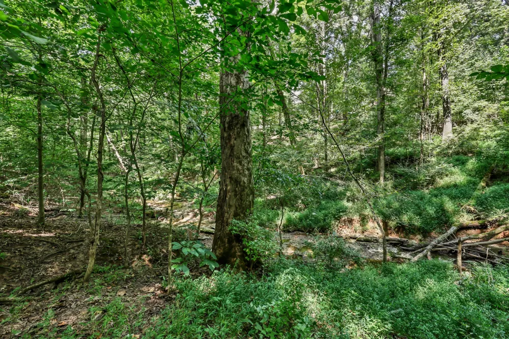 224 Norma Ct Clarksville, TN 37043