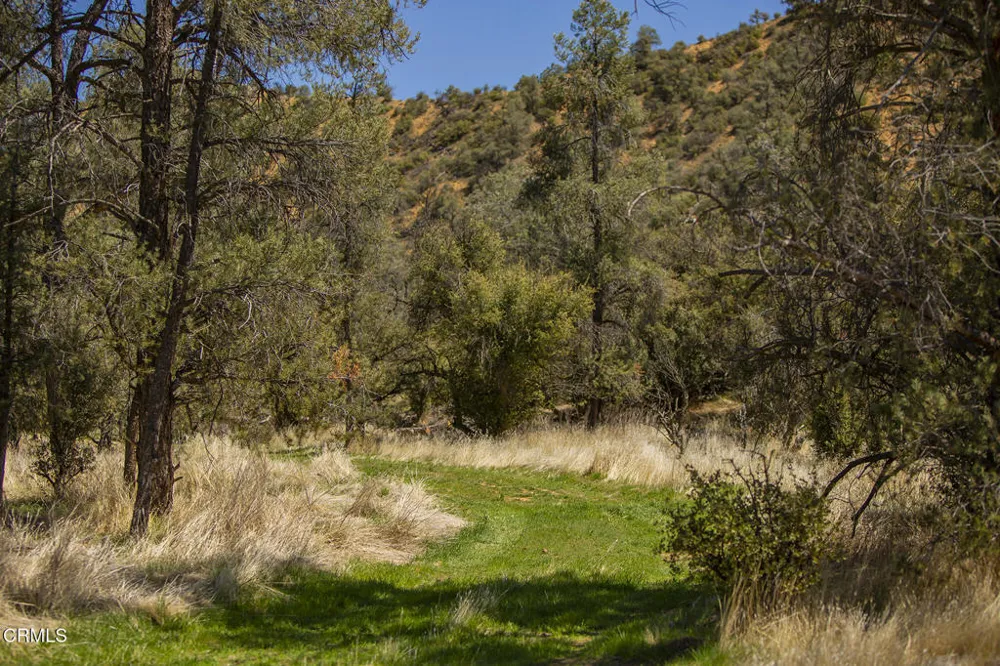 29433 Highway 33 Maricopa, CA 93252