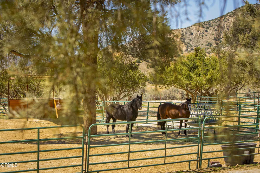 29433 Highway 33 Maricopa, CA 93252