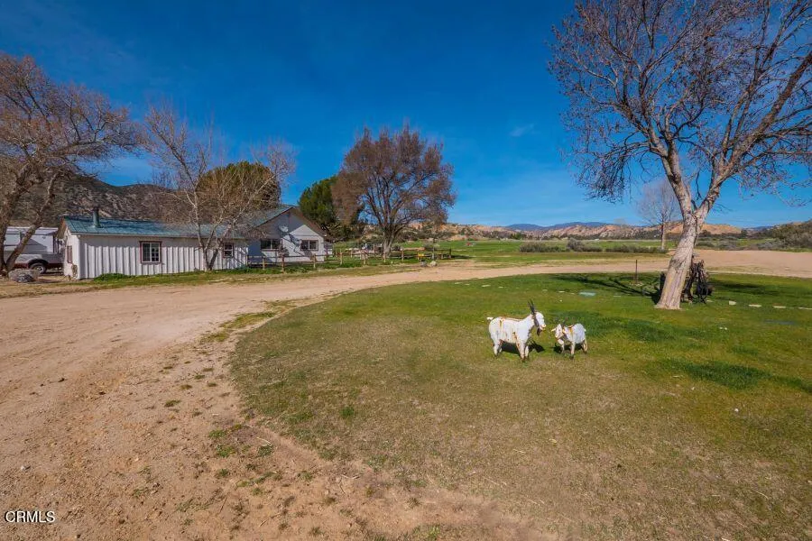 29433 Highway 33 Maricopa, CA 93252