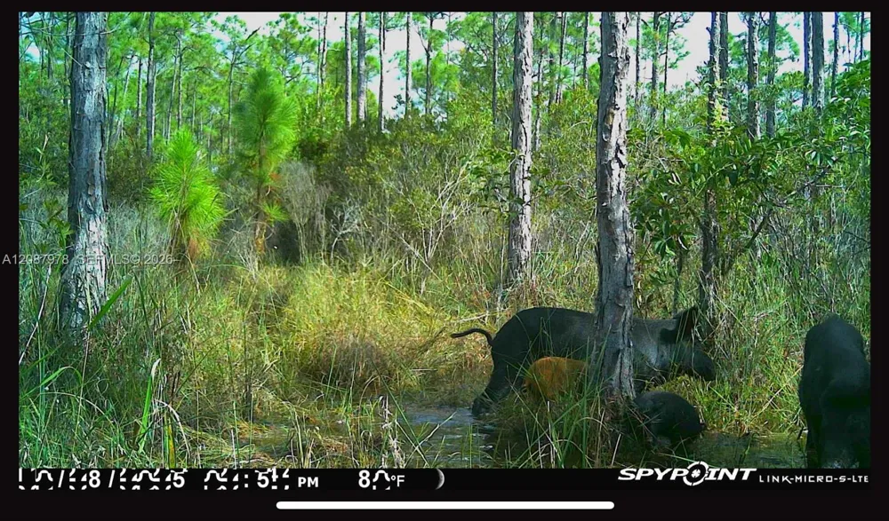 UNASSIGNED Indian Town, FL 34956