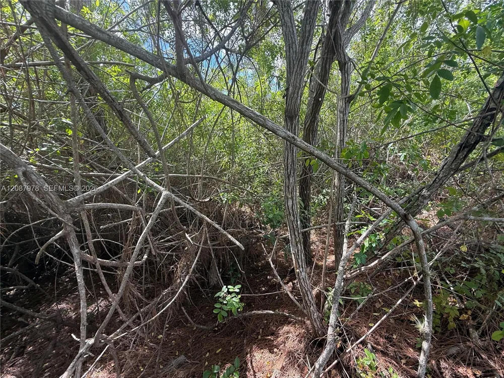 UNASSIGNED Indian Town, FL 34956
