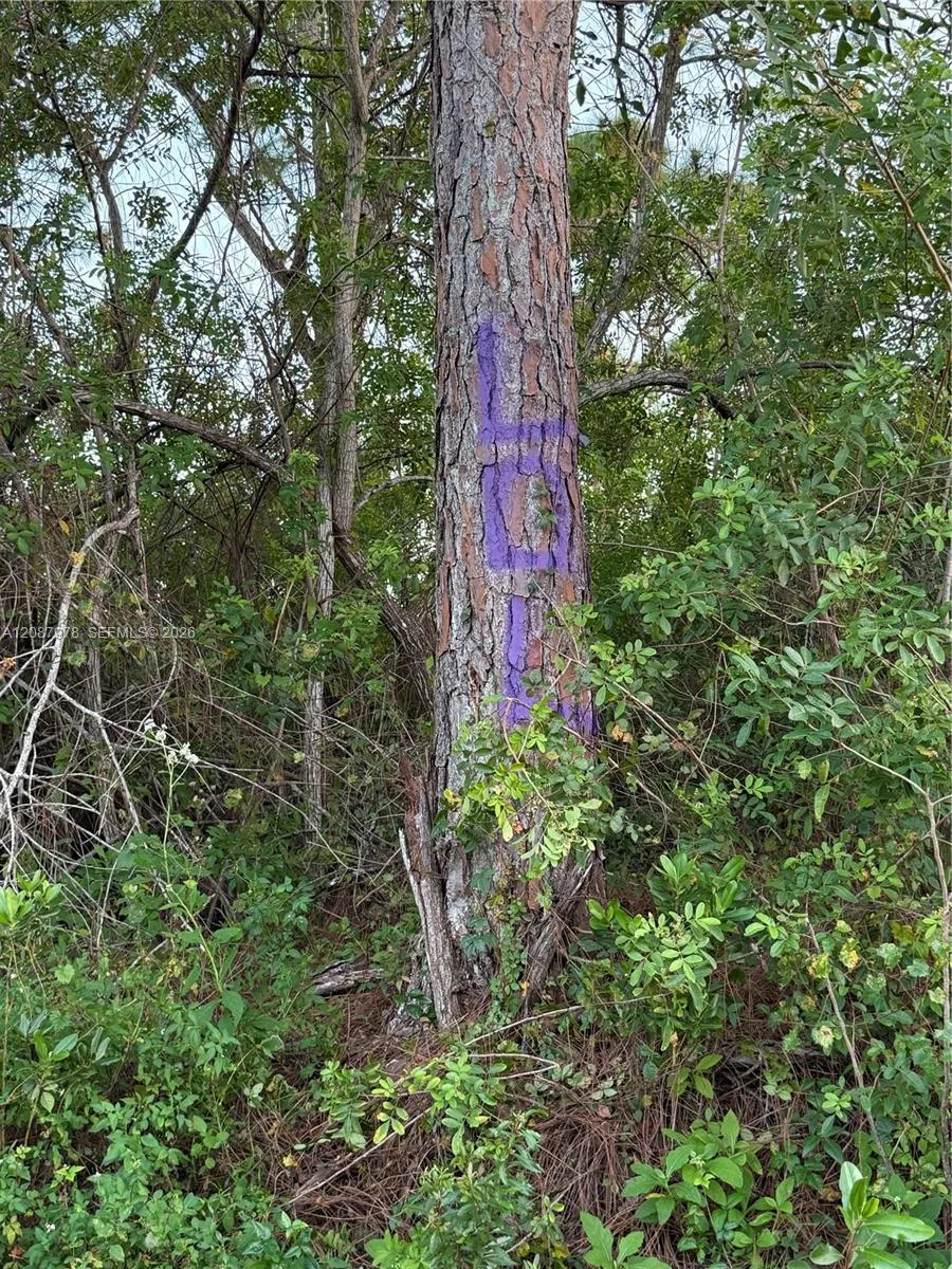 UNASSIGNED Indian Town, FL 34956