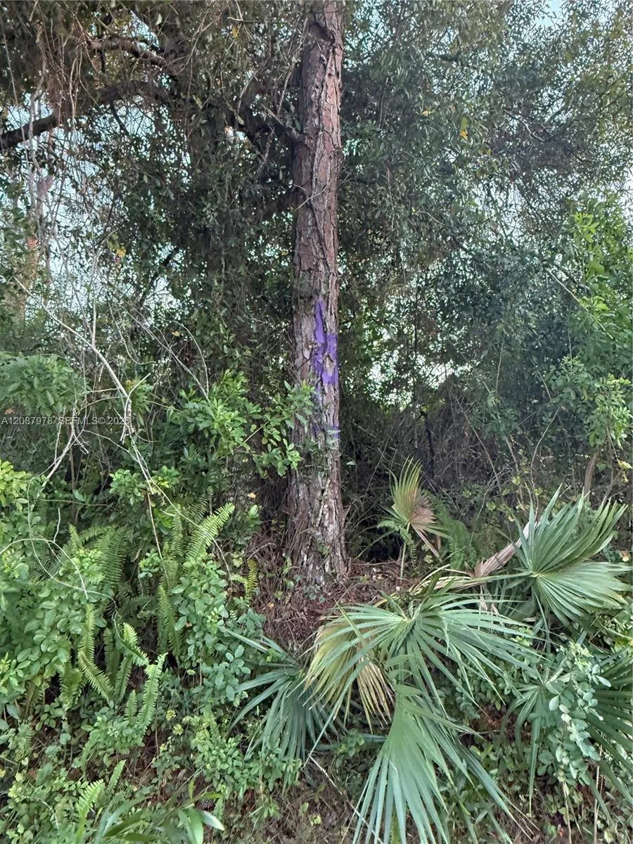 UNASSIGNED Indian Town, FL 34956