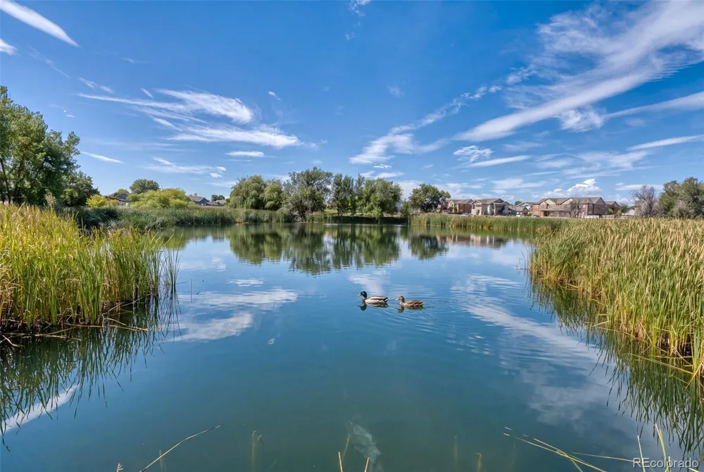 3639 29 Greeley, CO 80634