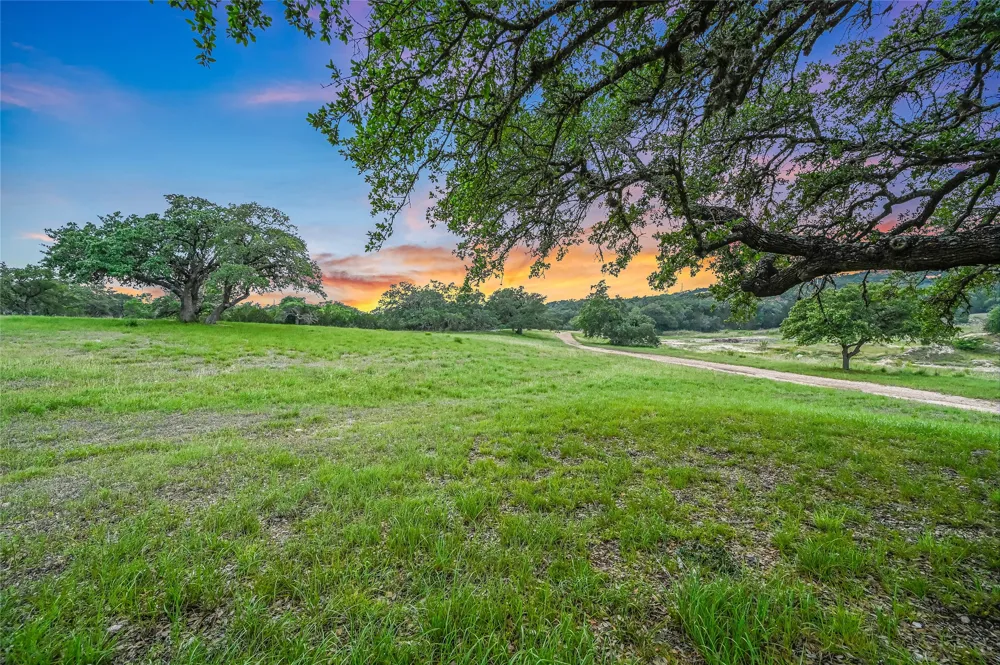 1174 ROYAL EAGLE DRIVE Fischer, TX 78623