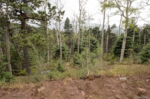 Lot 2825 Moir Drive