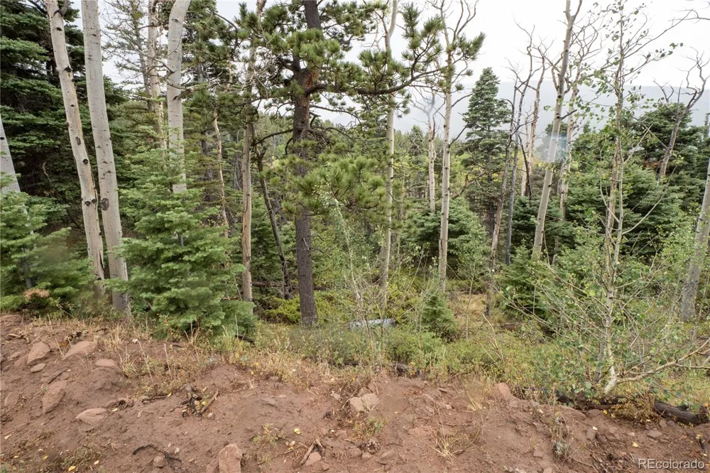 Lot 2825 Moir Drive Fort Garland, CO 81133