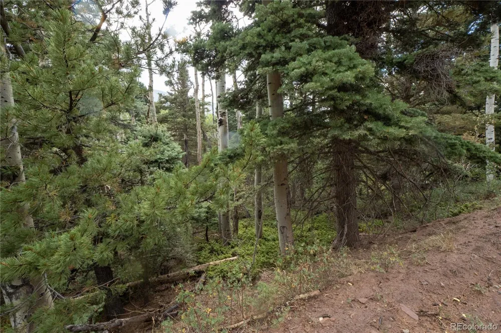Lot 2825 Moir Drive Fort Garland, CO 81133