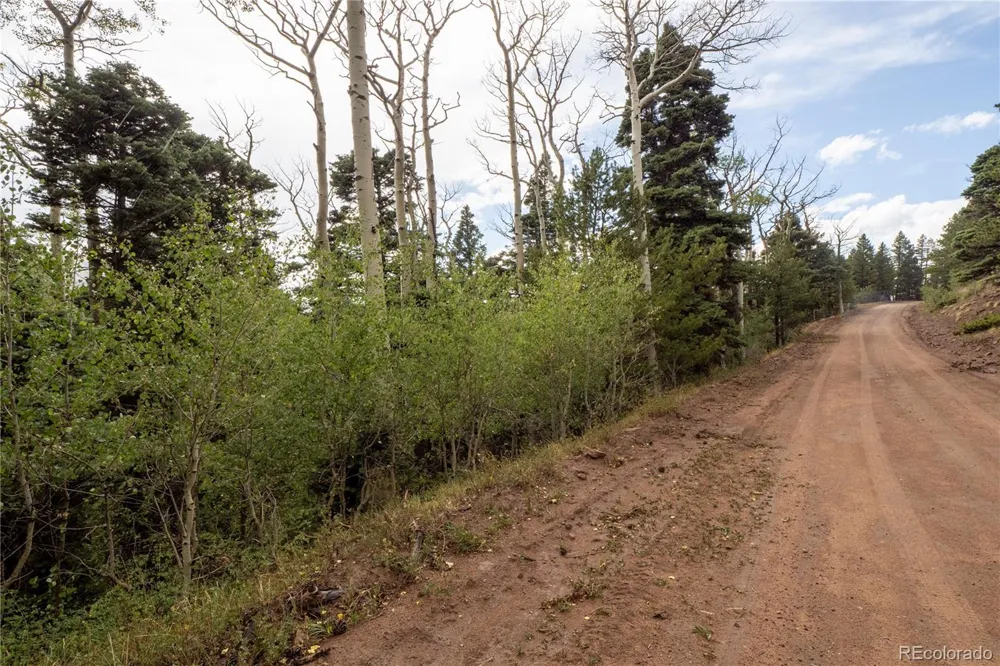 Lot 2825 Moir Drive Fort Garland, CO 81133