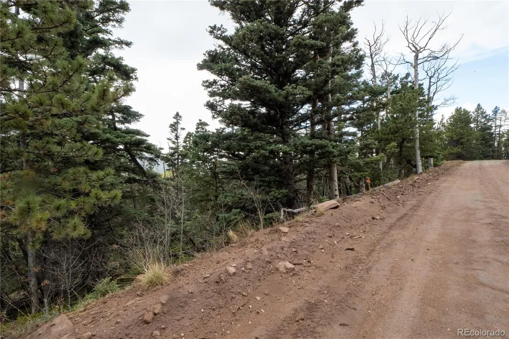 Lot 2825 Moir Drive Fort Garland, CO 81133