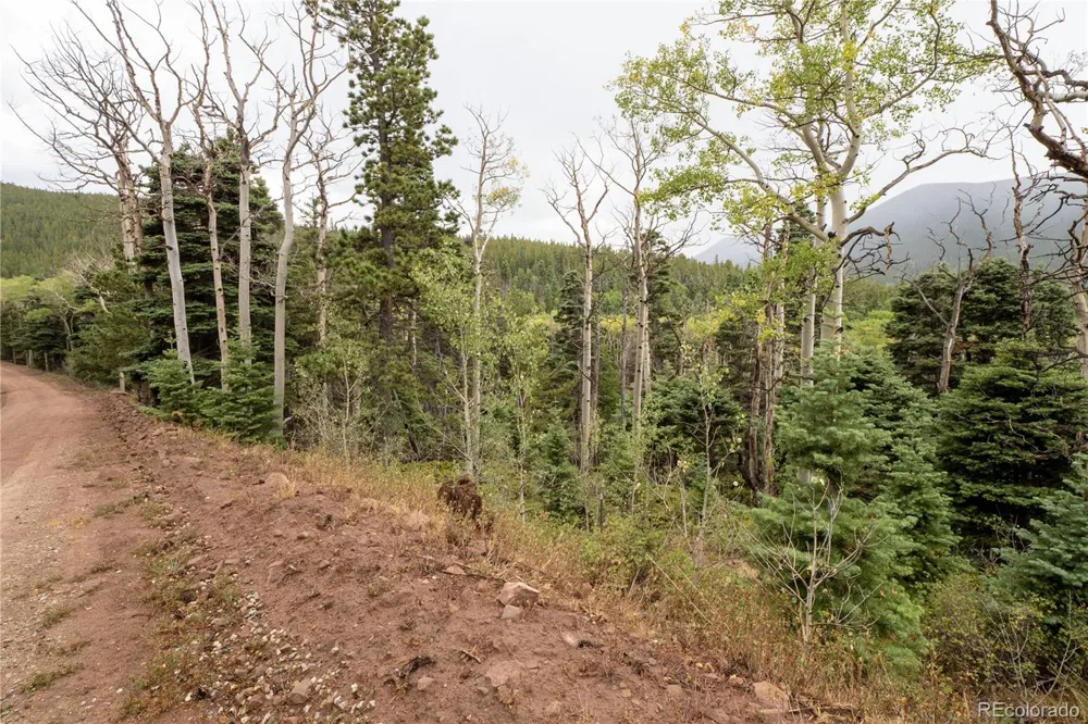 Lot 2825 Moir Drive Fort Garland, CO 81133