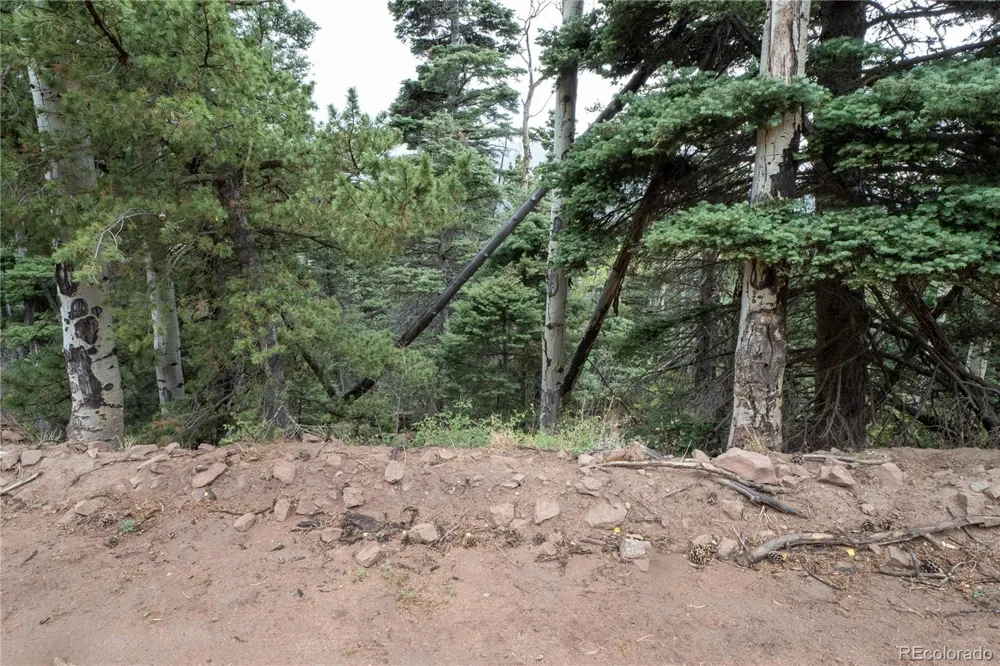 Lot 2825 Moir Drive Fort Garland, CO 81133
