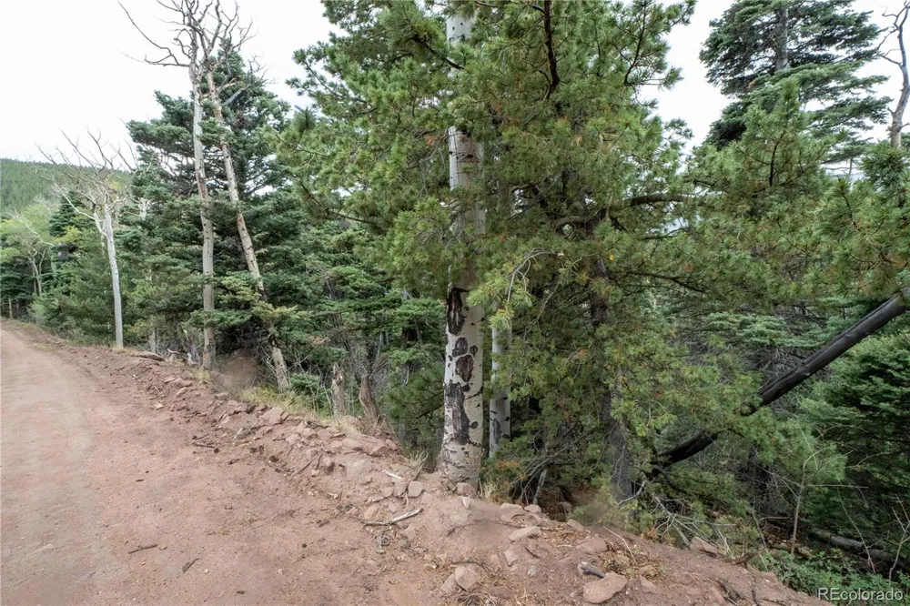 Lot 2825 Moir Drive Fort Garland, CO 81133