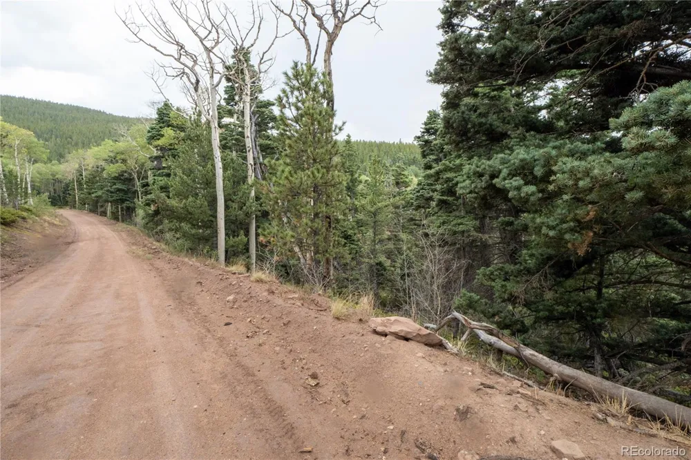 Lot 2825 Moir Drive Fort Garland, CO 81133