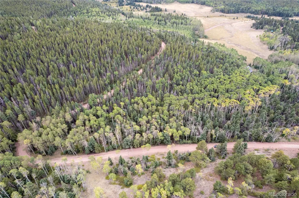 Lot 2825 Moir Drive Fort Garland, CO 81133