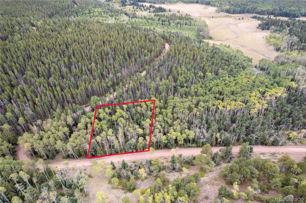 Lot 2825 Moir Drive Fort Garland, CO 81133