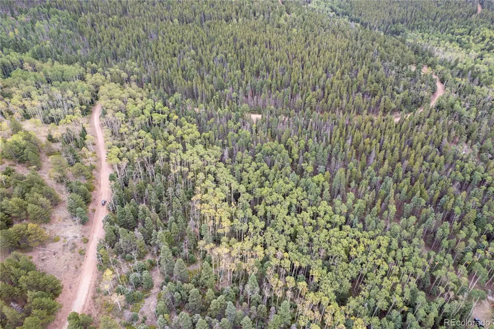 Lot 2825 Moir Drive Fort Garland, CO 81133