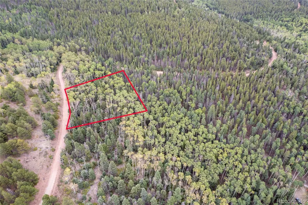 Lot 2825 Moir Drive Fort Garland, CO 81133