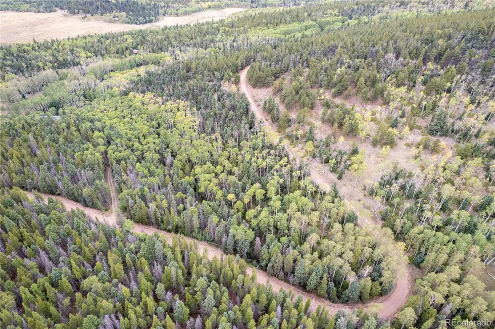 Lot 2825 Moir Drive Fort Garland, CO 81133