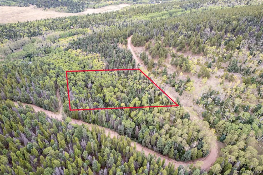 Lot 2825 Moir Drive Fort Garland, CO 81133