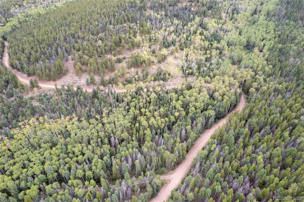 Lot 2825 Moir Drive Fort Garland, CO 81133