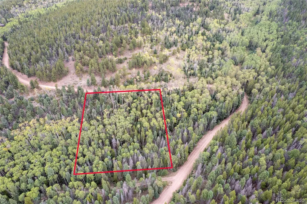 Lot 2825 Moir Drive Fort Garland, CO 81133