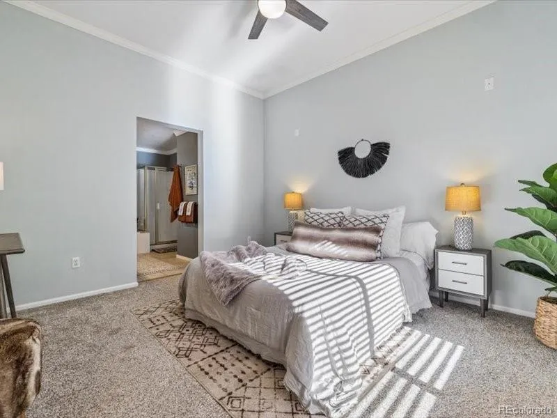438 Sylvestor Trail Highlands Ranch, CO 80129
