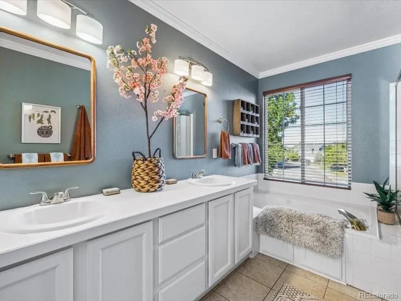 438 Sylvestor Trail Highlands Ranch, CO 80129