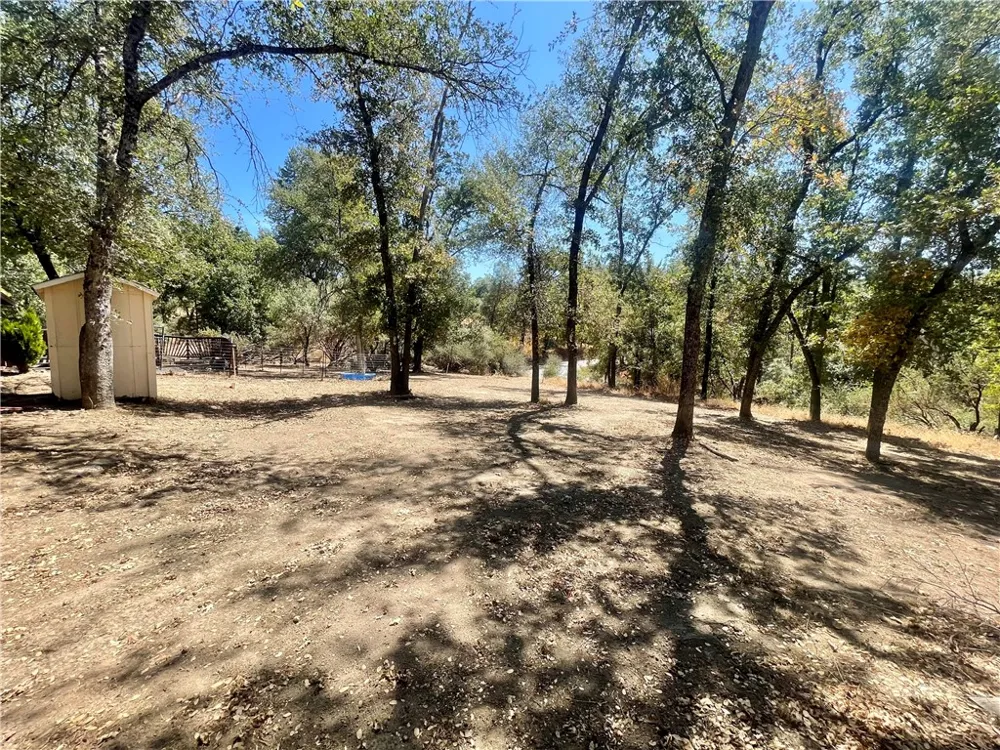 50060 Road 420 Coarsegold, CA 93614