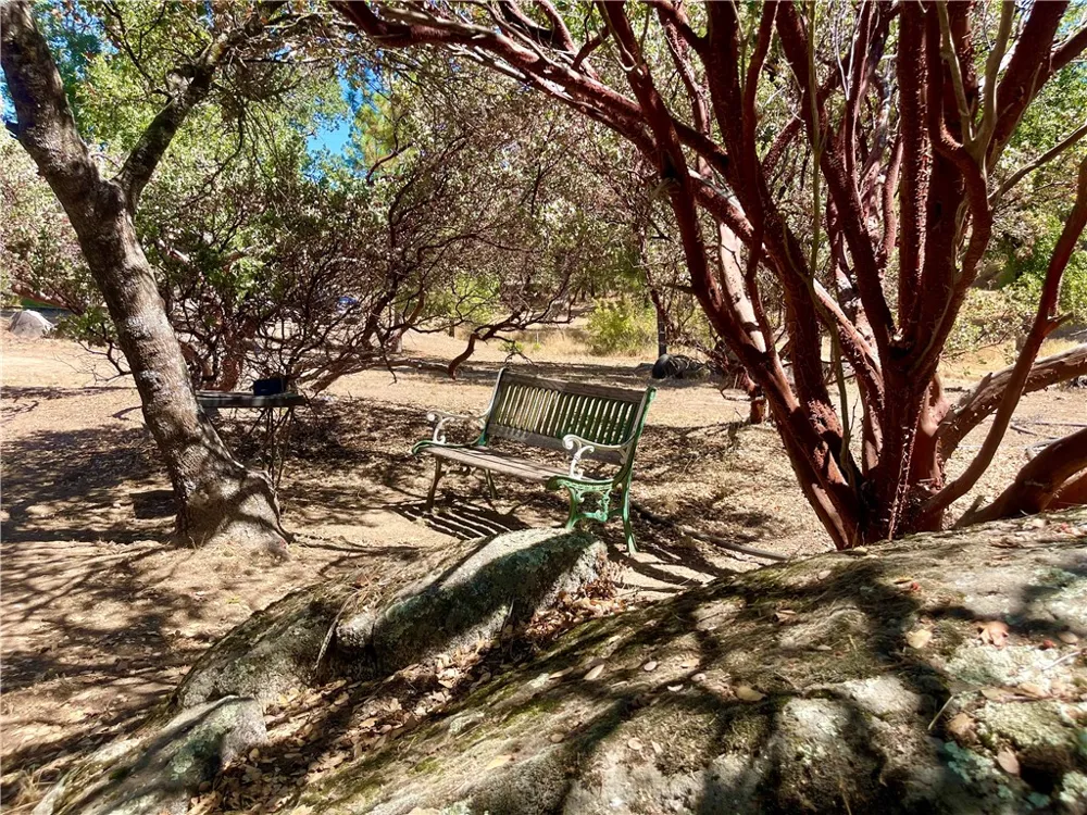 50060 Road 420 Coarsegold, CA 93614