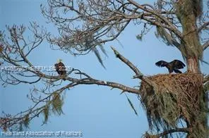 Oleander Drive Lake Wales, FL 33898