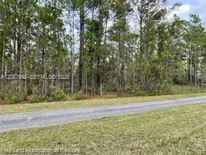 Oleander Drive Lake Wales, FL 33898