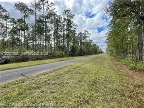 Oleander Drive Lake Wales, FL 33898