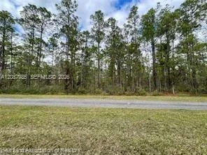 Oleander Drive Lake Wales, FL 33898
